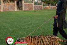 بچه پولدار‌های دبی