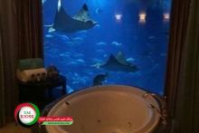 بچه پولدار‌های دبی